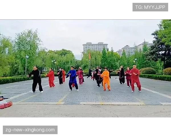 公园里的太极拳:老年人的社交刚需,公园 太极拳 公园里的太极拳:老年人的社交刚需,公园 太极拳