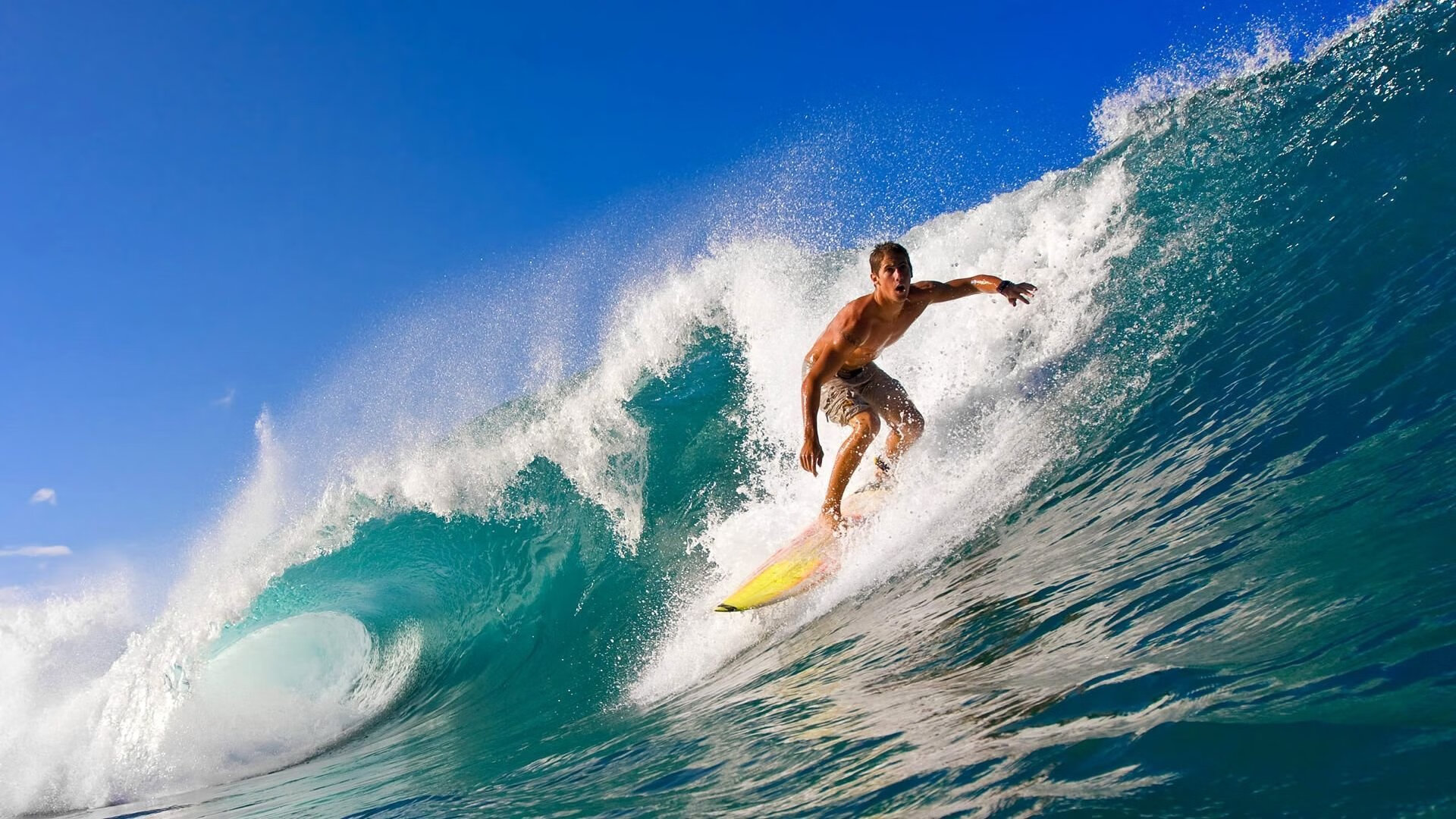 体测标准落地推动学校体育常态化，学校体质测试实施方案